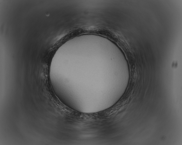 X0000089371301200707131628