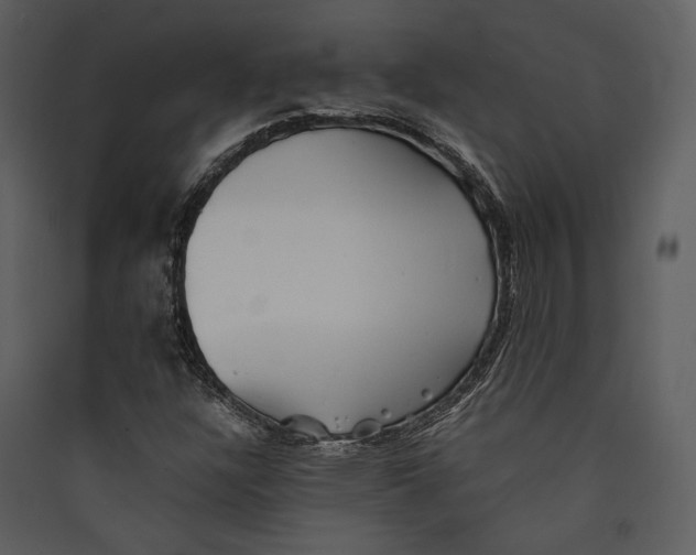 X0000089371304200707131628