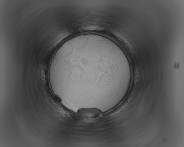 X0000089371305200707131628