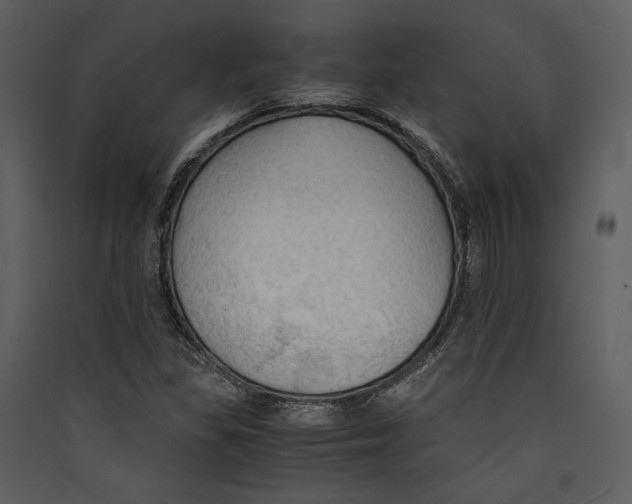 X0000089371309200707131628