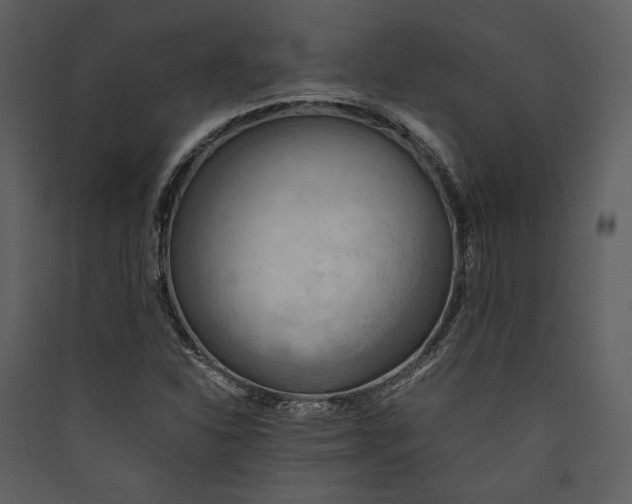 X0000089371310200707131628