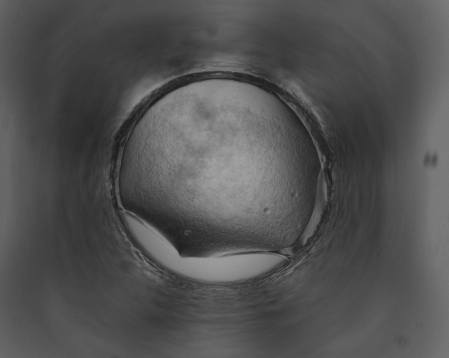 X0000089371312200707131628