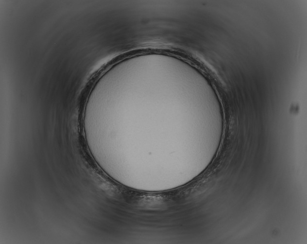 X0000089371315200707131628