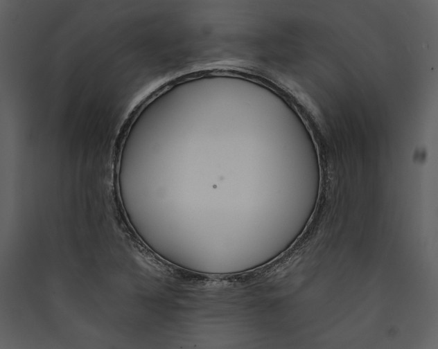 X0000089371316200707131628