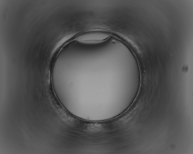 X0000089371317200707131628