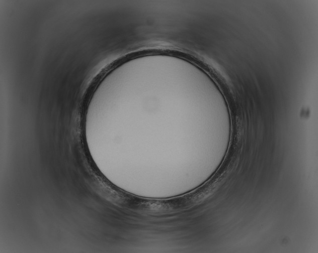 X0000089371318200707131628