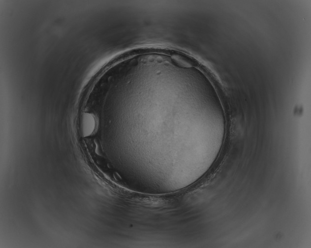 X0000089371319200707131628