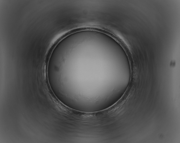 X0000089371320200707131628