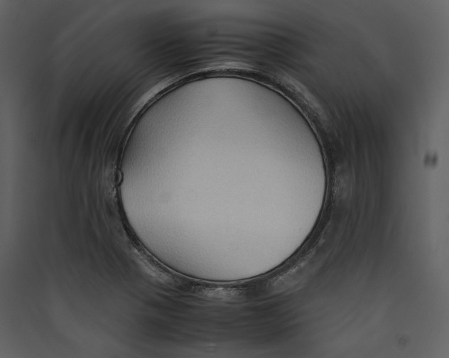 X0000089371321200707131628