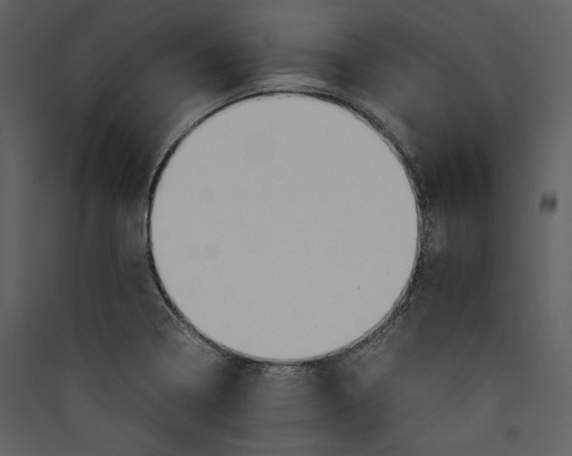 X0000089371322200707131628