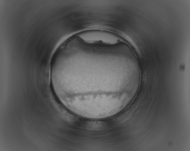 X0000089371323200707131628