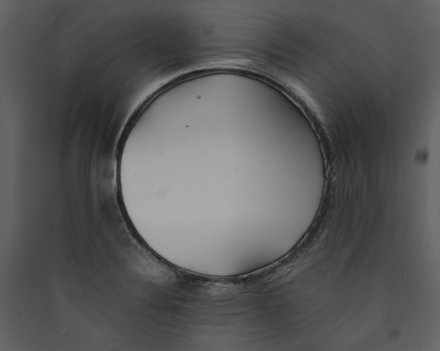 X0000089371324200707131628