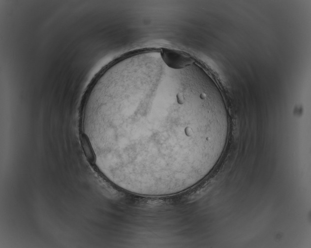 X0000089371326200707131628