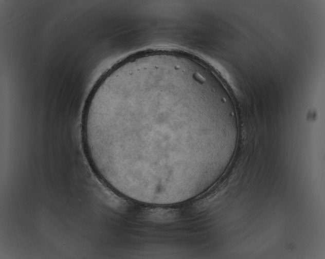 X0000089371327200707131628