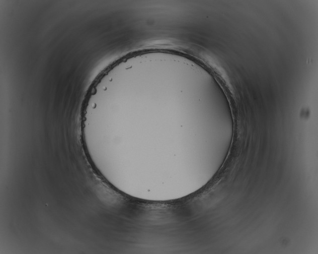 X0000089371328200707131628