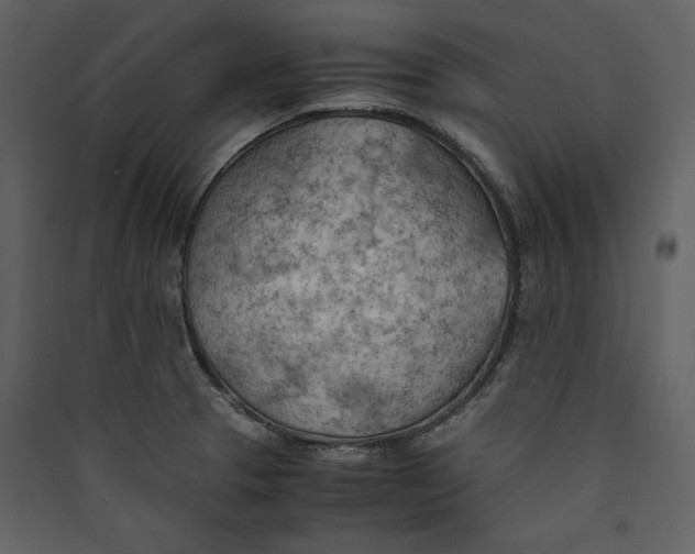 X0000089371329200707131628