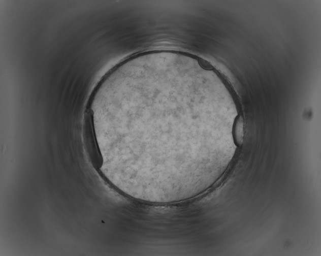 X0000089371333200707131628