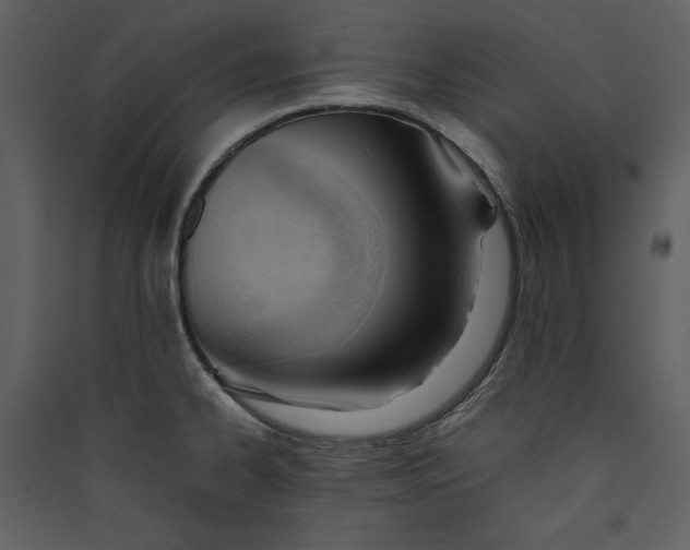 X0000089371334200707131628