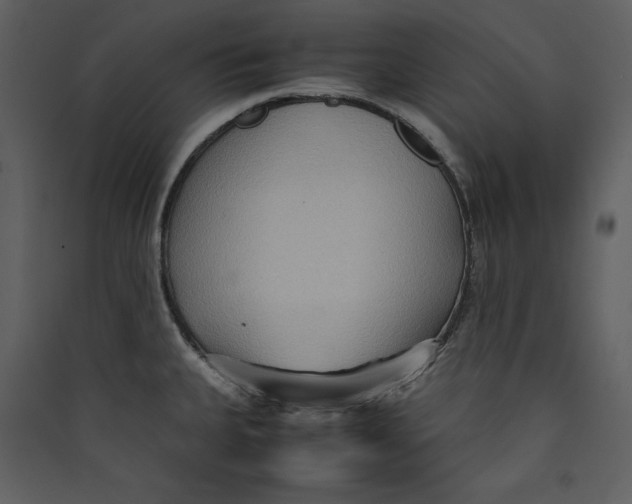 X0000089371335200707131628