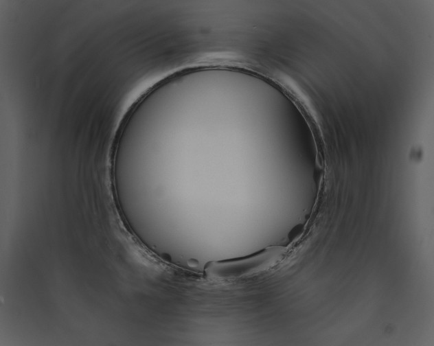 X0000089371336200707131628