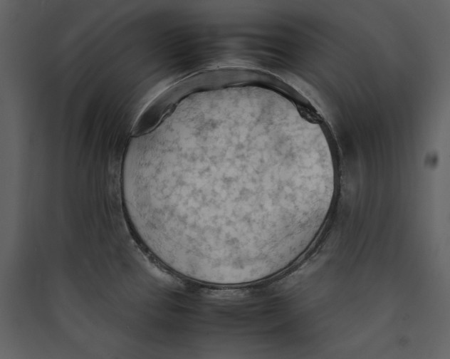 X0000089371337200707131628