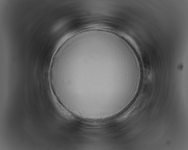 X0000089371338200707131628