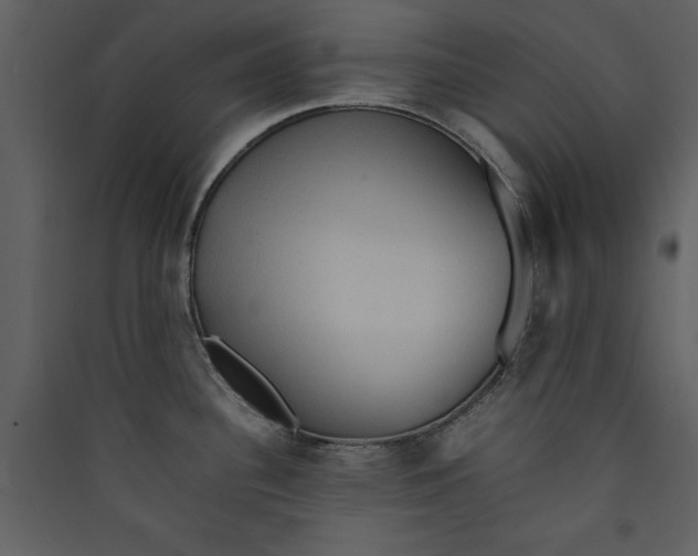 X0000089371340200707131628