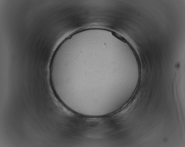 X0000089371341200707131628