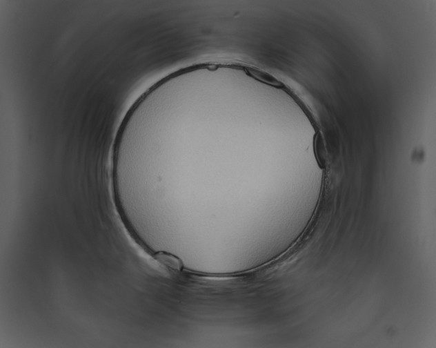 X0000089371343200707131628