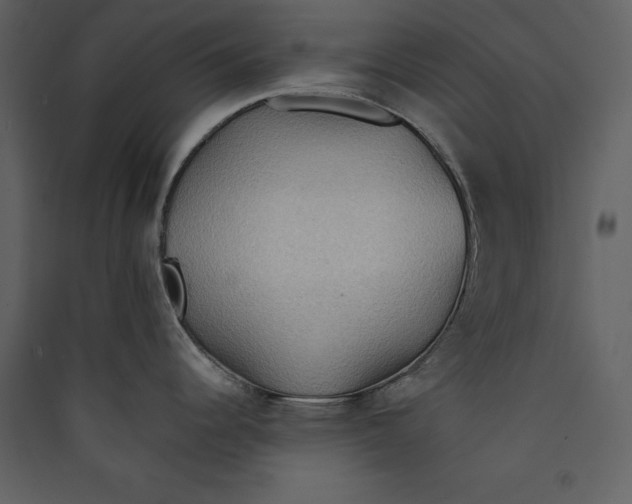 X0000089371344200707131628