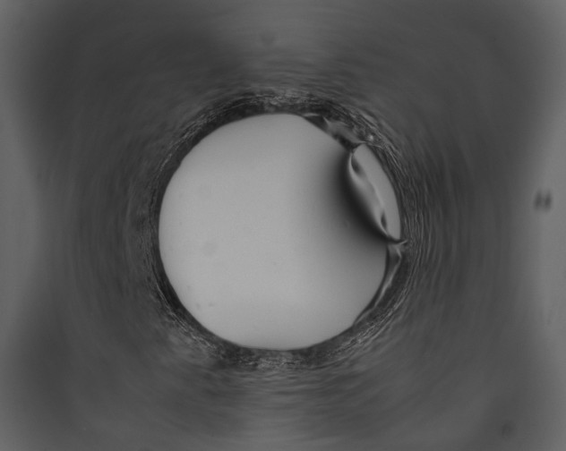 X0000089371345200707131628