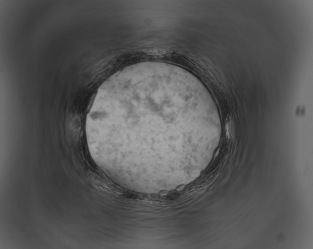 X0000089371347200707131628