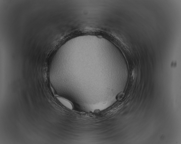 X0000089371348200707131628