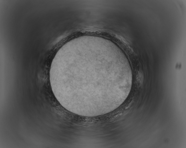 X0000089371350200707131628