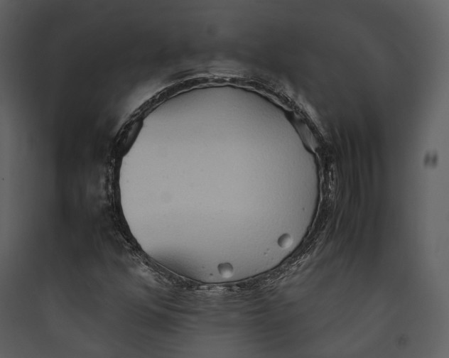 X0000089371352200707131628