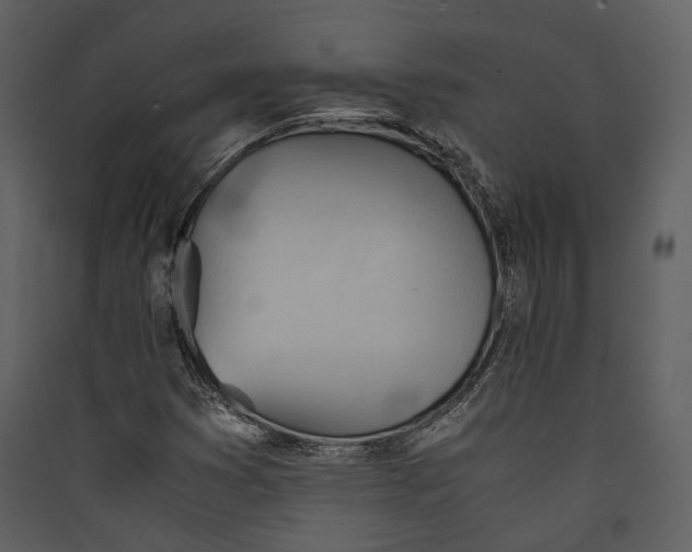 X0000089371353200707131628