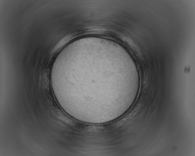 X0000089371354200707131628