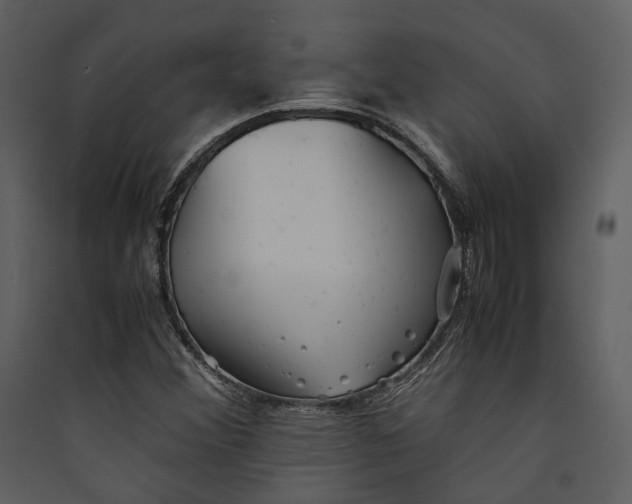 X0000089371356200707131628