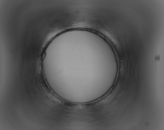 X0000089371358200707131628