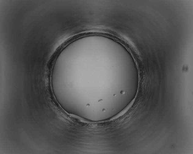 X0000089371360200707131628