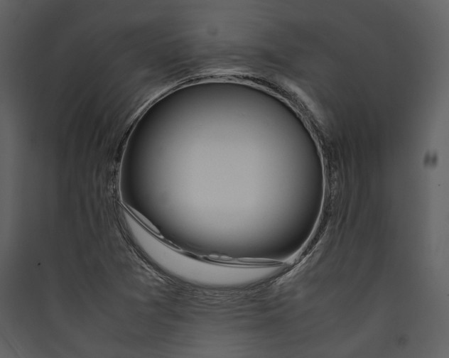 X0000089371361200707131628