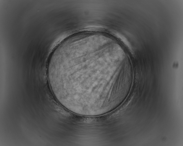 X0000089371362200707131627