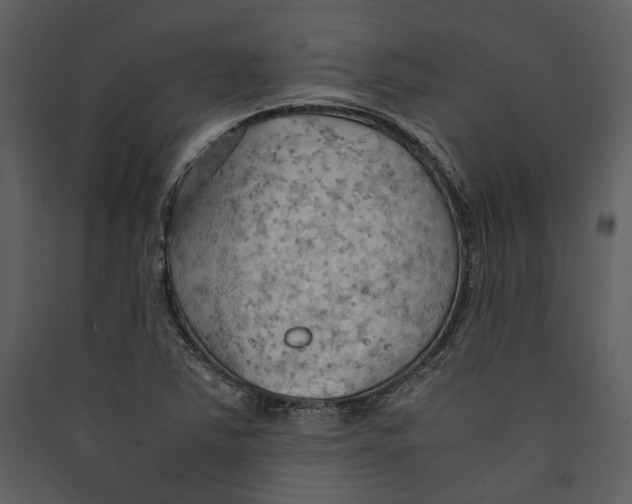 X0000089371363200707131627