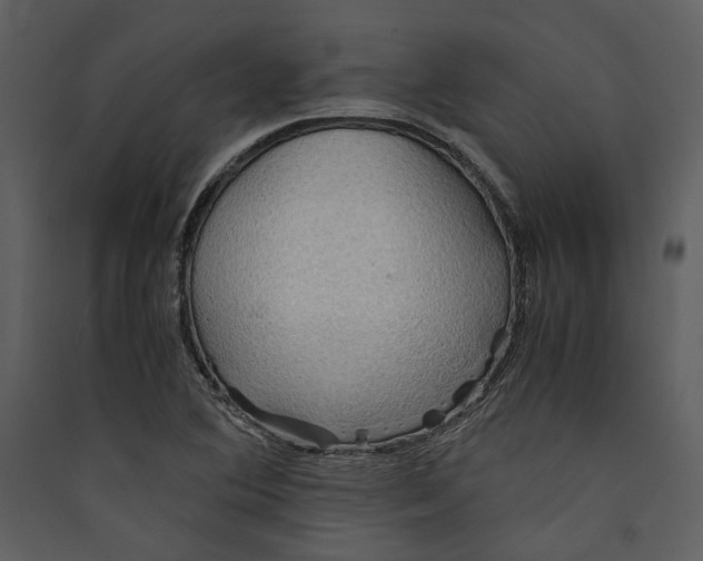 X0000089371364200707131627