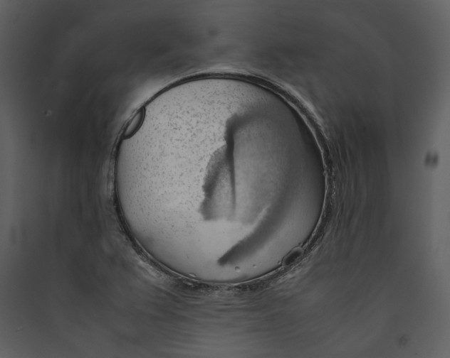 X0000089371367200707131627