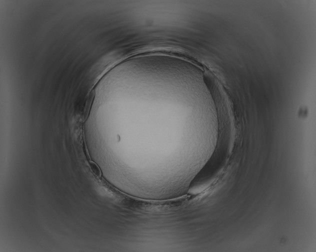 X0000089371369200707131627