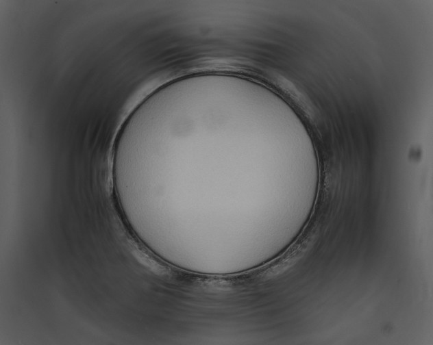 X0000089371370200707131627