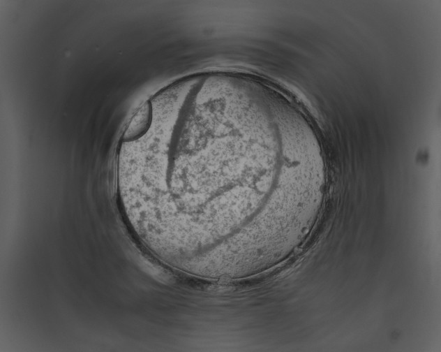 X0000089371371200707131627