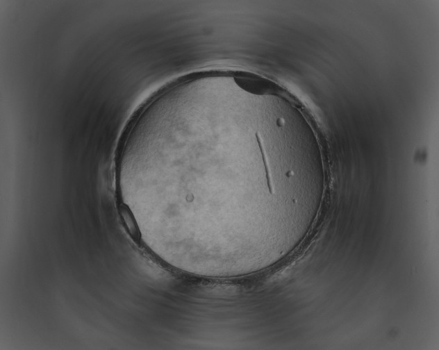 X0000089371372200707131627