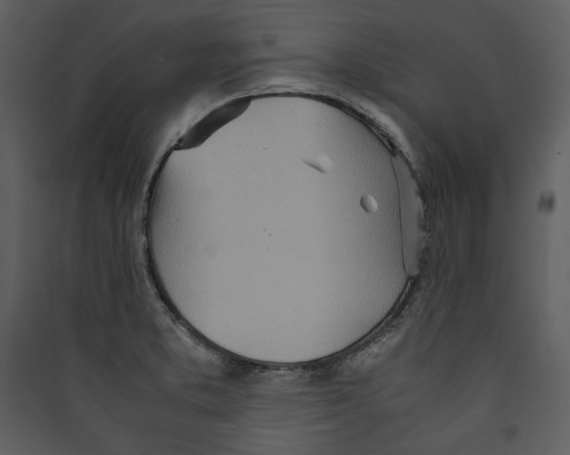 X0000089371373200707131627